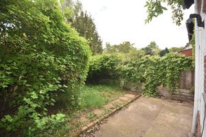 garden- click for photo gallery